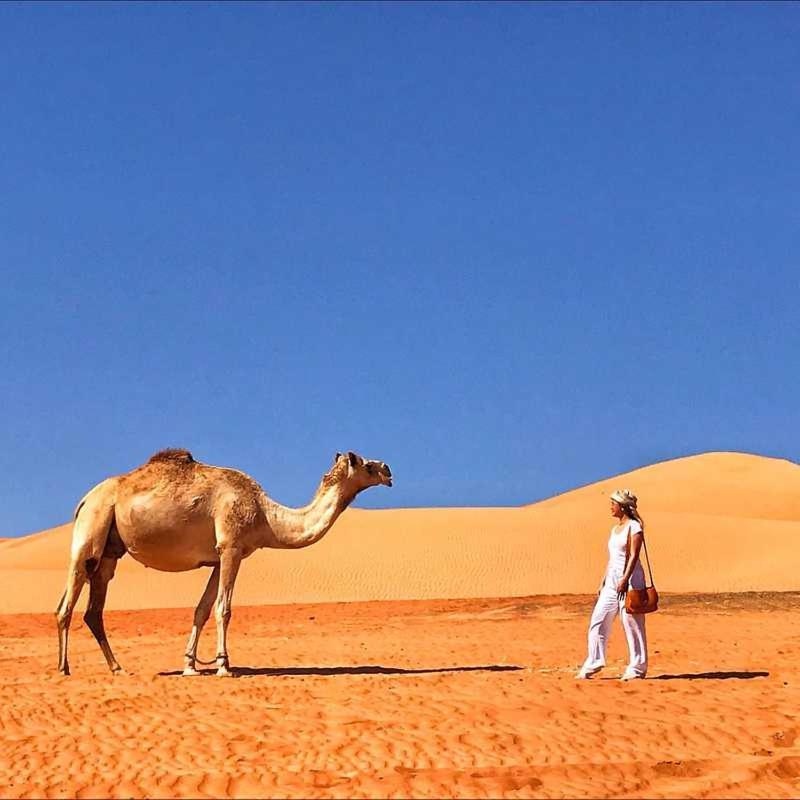 Al Wāşil Panorama Camp Bidiyaゲストハウス エクステリア 写真
