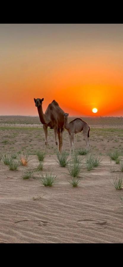 Al Wāşil Panorama Camp Bidiyaゲストハウス エクステリア 写真